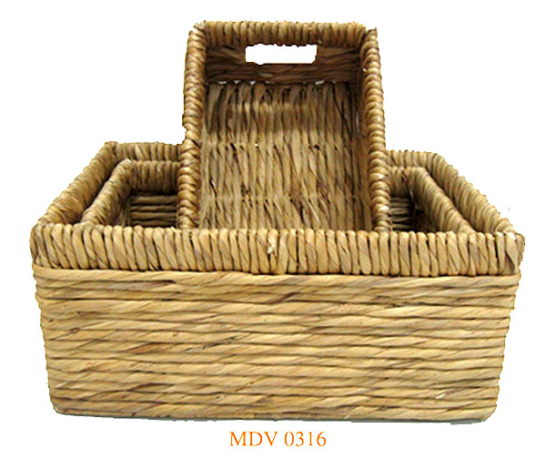 MDV 0316